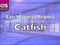 Het publiek over Catfish, 30-11-2010