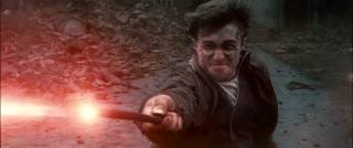 Daniel Radcliffe in Harry Potter and the Deathly Hallows: Part I