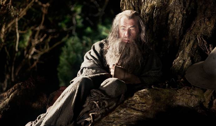 Ian McKellen (Gandalf)