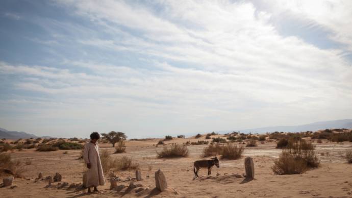 Theeb filmstill