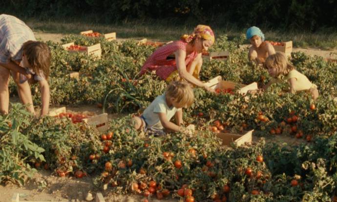 Y'aura t'il de la neige à Noël? filmstill