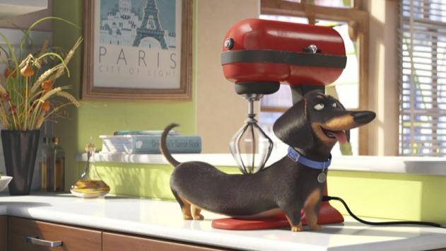 The Secret Life of Pets filmstill