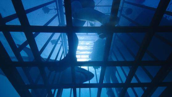 47 Meters Down filmstill