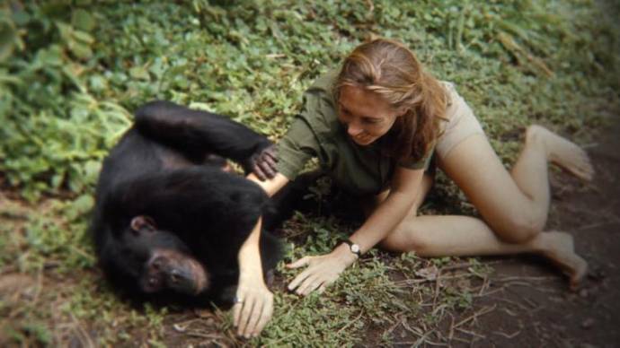 Jane Goodall (Zichzelf)