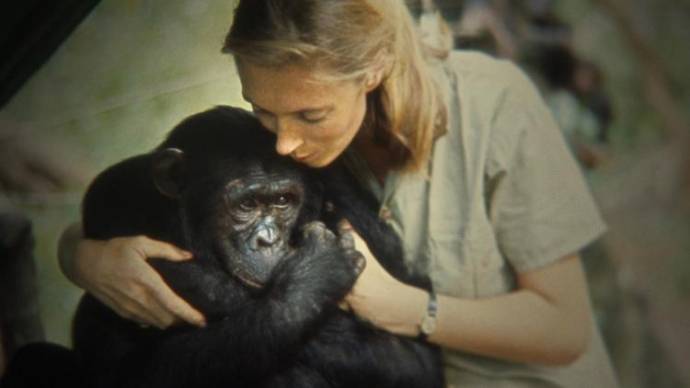 Jane Goodall (Zichzelf)