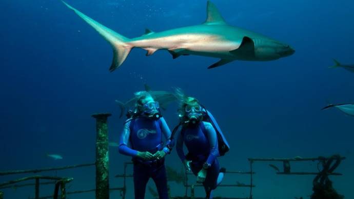 Jean-Michel Cousteau (Jean-Michel Cousteau) en Celine Cousteau (Celine Cousteau)