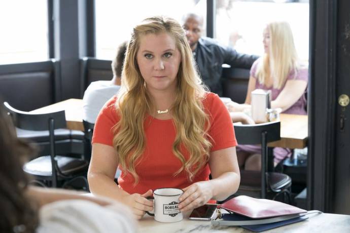 Amy Schumer (Renee Barrett)