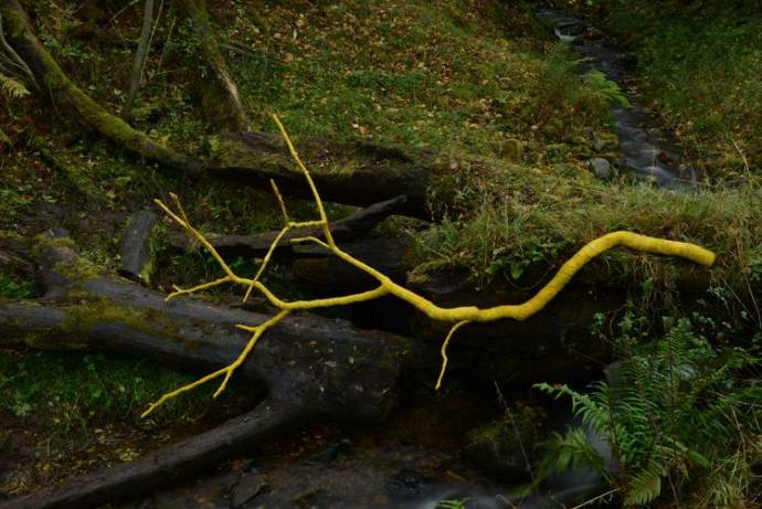 Leaning Into the Wind: Andy Goldsworthy filmstill