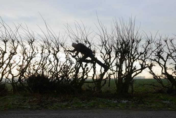 Leaning Into the Wind: Andy Goldsworthy filmstill