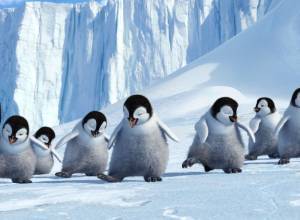 Still: Happy Feet