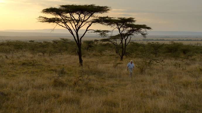 David Attenborough: A Life on Our Planet filmstill