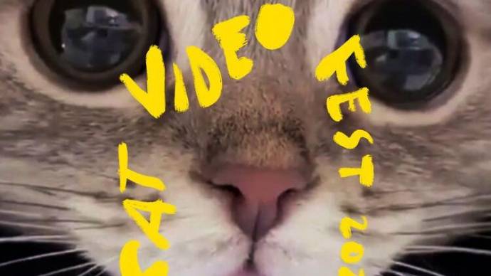 CatVideoFest 2021 filmstill