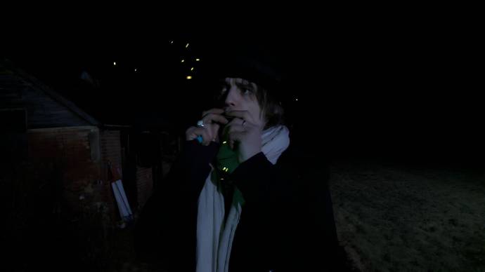 Pete Doherty (Self)