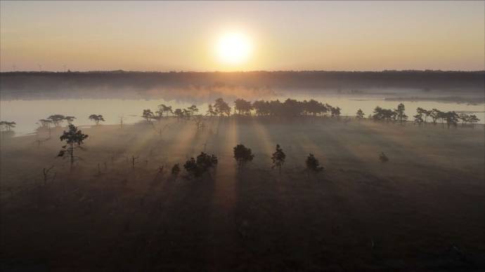 Onze Natuur, het Wilde België filmstill