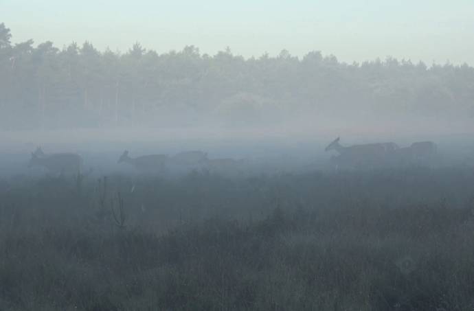 De Achtertuin van Kees filmstill