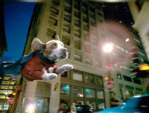 Still: Underdog