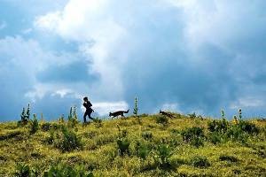 Still: Le Renard et l'enfant