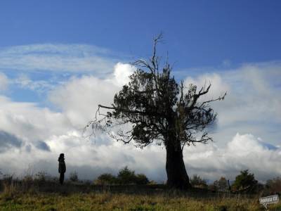 El cielo, la tierra, y la lluvia