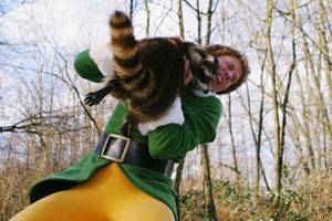 Elf filmstill