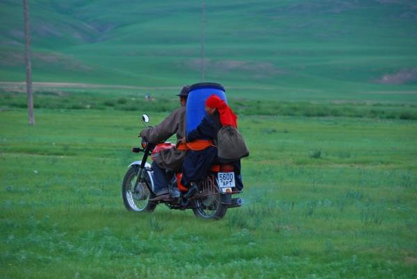 Two Horses of Genghis Khan filmstill