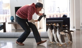 Jim Carrey in Mr. Popper's Penguins