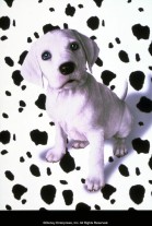 102 Dalmatians poster