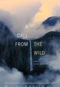 A Call from the Wild