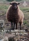 a Few Mornings, an Evening