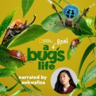 A Real Bug's Life poster