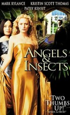 Angels & Insects poster