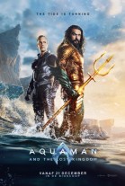 Aquaman and the Lost Kingdom 3D poster