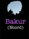 Bakur