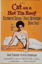 Cat on a hot tin Roof poster