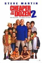 Cheaper by the Dozen 2 poster