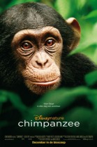 Chimpanzee poster