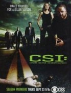 CSI: Grave Danger poster