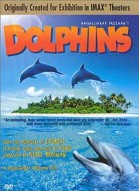 Dolphins poster