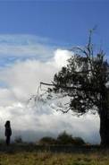 El cielo, la tierra, y la lluvia (2008)