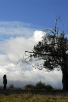 El cielo, la tierra, y la lluvia poster