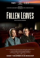 Fallen Leaves (EN subtitles) poster