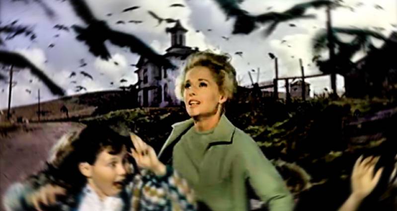 The Birds uit 1963