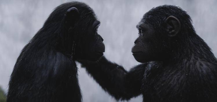 Recensie War For The Planet Of The Apes