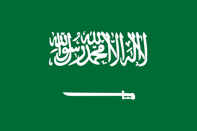 De vlag van Saoedi-Arabië.