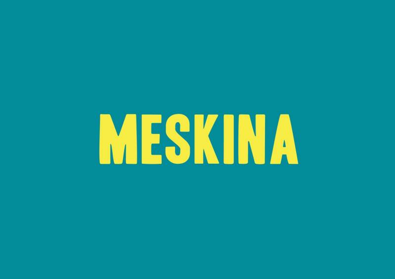 Cast bekend van de komedie MESKINA