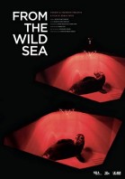 From the Wild Sea poster