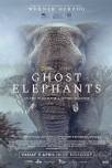Ghost Elephants