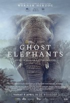 Ghost Elephants poster