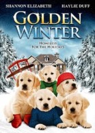 Golden Winter poster