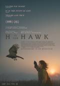 H Is for Hawk