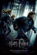 Harry Potter and the Deathly Hallows: Part 1 (2010)